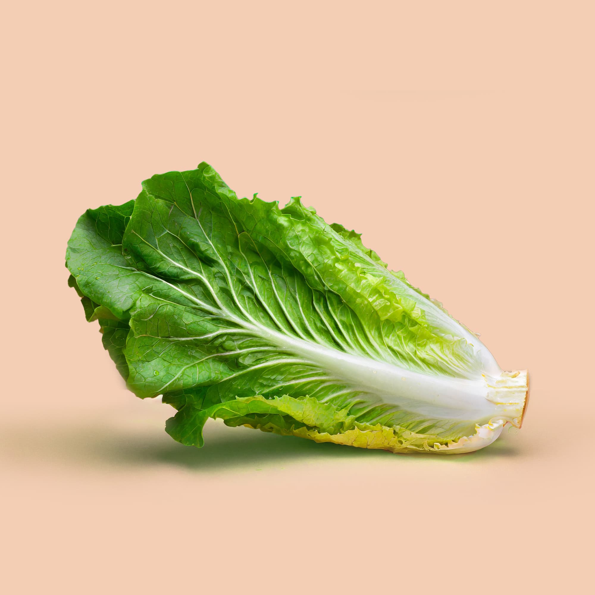 Fruits & Vegetables