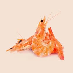 Prawns