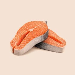 Salmon